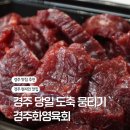 화영 | 경주 현지인 추천 맛집 당일 도축 뭉티기 먹을 수 있는 화영육회