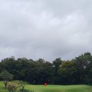 영재 par3 골프랜드 이미지