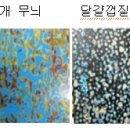 동양 만다라 그림의 예술 형식- 칠화의 시각효과 - 서피칠 이미지
