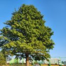 맘앤독스 이미지