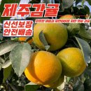 중대농장 이미지