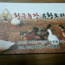 황금농장 이미지