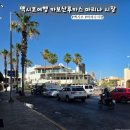 마리나약국 | 멕시코 여행 카보산루카스 마리나시장 테킬라뮤지엄