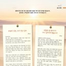 시냇가에심은나무 티스토리