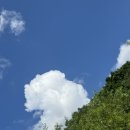 오이코스테이 이미지