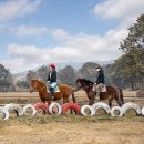 탐라승마장 이미지