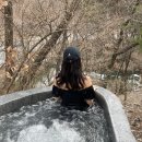 제천여행 포레스트 리솜 S30 28평형 후기 + 해브나인힐링스파 + 몬도키친 석식뷔페(내돈내산)