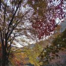 평일 차박 어떠세요 이미지