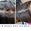 샬롬미용실 네이버블로그