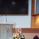 플로레리아 이미지