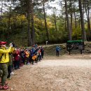 소나무 숲 리조트 이미지