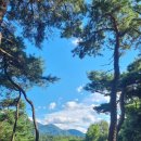 선산빌딩 이미지