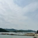 충남서산집꽃게탕 이미지