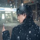 낭만고양이 이미지