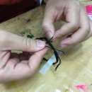 연필소리미술교습소