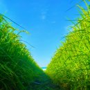 낙천대세탁소 이미지