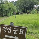 경안군 및 임창군묘 이미지