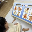 와이즈 동물병원 | 두돌 전 들인 와이즈루크 두뇌조깅 책 공구 가격 시기 및 내돈내산 후기