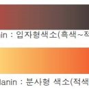 스너그 이미지