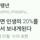 지우참치