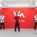 CHA태권도2 이미지