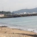 은빛파랑 이미지