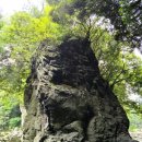 안덕면 통물(감산리) | [동네 한바퀴] 안덕면 감산리