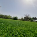 테디벨리 이미지