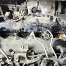 애니카랜드 대저점 이미지