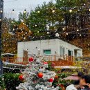 카페인 포레스트 본점 이미지