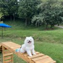 드라마촬영장 이미지