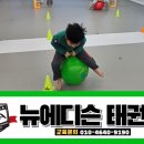 더뉴 태권도장 이미지