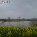 올드머그 이미지