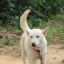 고선재