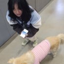 금풍농장 네이버블로그