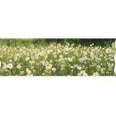 애견천국 이미지