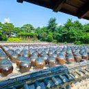 솔리,자운 이미지