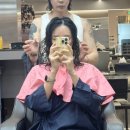 1117 | 영통 미용실, 쌤시크 수원글란츠점 레이어드펌 솔직 후기