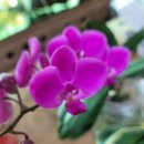 향호농장 이미지