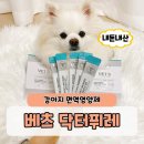 휴약국 | 강아지 면역영양제 베츠 닥터퓌레 이뮨케어 내돈내산 5개월 급여 후기