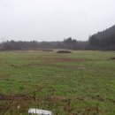 에코펜션민박 이미지