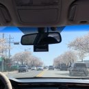 관작리 벚꽃길 이미지