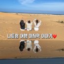 여행) 나트랑 여행 마지막 이야기❤