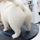 로또PC게임 이미지