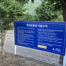 밀양스쿨캠핑장 이미지