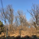 초안산길 이미지