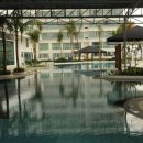 더코지(The Cozy) 이미지