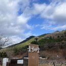 옻골로 | 대구 드라이브 산책하기 좋은 [옻골마을] / 매화 개화실시간