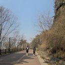 마실한바꾸 | 남산 러닝 코스 2회차 훈련 후기, 초보 러너라면 꼭 알아야 할 것