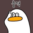 화이트클린 이미지